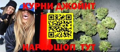 шишки Шелехов