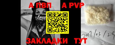 шишки Шелехов