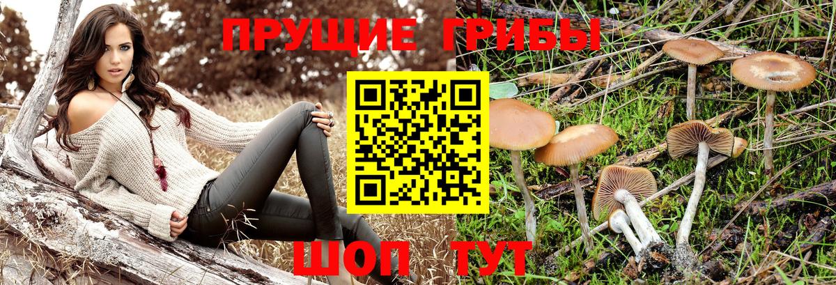 Галлюциногенные грибы ЛСД Боровичи