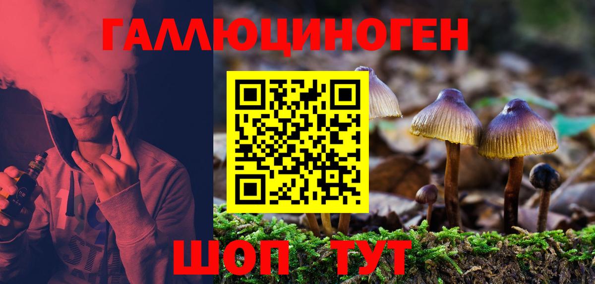 Псилоцибиновые грибы мицелий  Вход с VPN  Боровичи 
